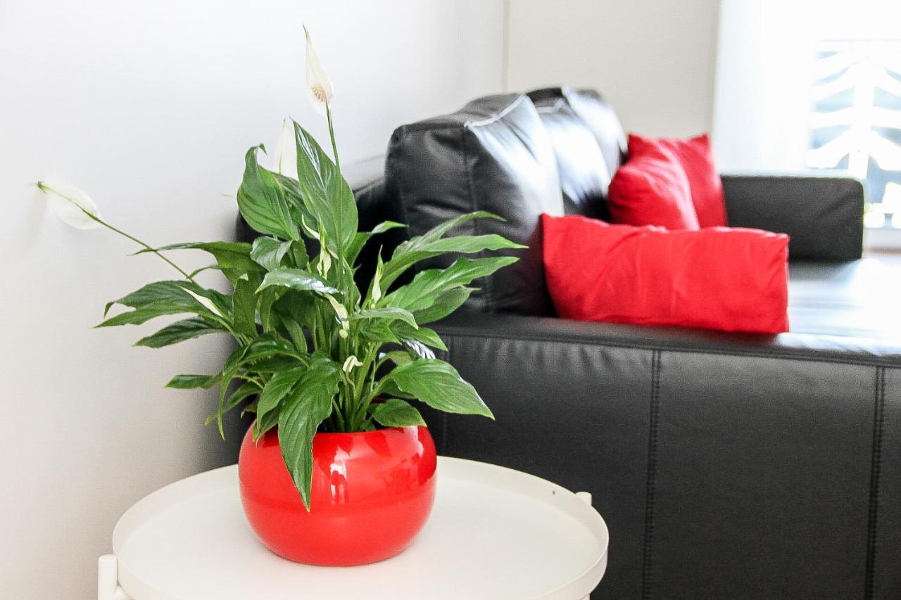 Grand T1 Moderne Jardin Pres De Cdg Appartement Le Thillay Buitenkant foto